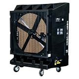 Port-A-Cool Portable Belt Drive 2-Speed Fan - 48in., Model# PAC2K482S