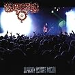 Hypocrisy Destroys Wacken