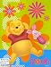 Winnie the Pooh Twin Mink Plush Blanket (Relax)