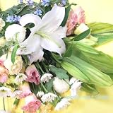 �y�@�v�z�y�����z���߂��݂̂��ԁ��������p�̉ԑ��i���ԁj�����W�F�~�b�N�XFL-OS-08