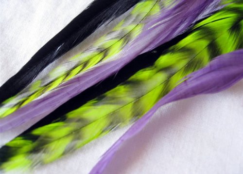Hair Feathers - Enchanted Garden Feather Hair Extensions