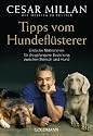 Tipps vom Hundefl&uuml;sterer: Einfache Ma&szlig;nahmen f&uuml;r die gelungene Beziehung zwischen Mensch und Hund