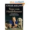 Tipps vom Hundefl�sterer: Einfache Ma�nahmen f�r die gelungene Beziehung zwischen Mensch und Hund