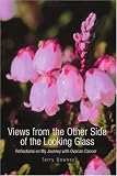 Views from the Other Side of the Looking Glass: Reflections on My Journey with Ovarian Cancer