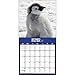 TF Publishing 2017 Baby Animals Wall Calendar (17-1000)
