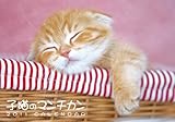 子猫のマンチカン 2011年 カレンダー