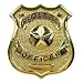 Gold Finish Security Officer Pin Badge