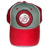 Dale Earnhardt Jr. Nascar Racing Hat - Budweiser Patch Logo Baseball Cap