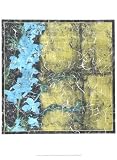 Floral Imprint I vON Jennifer Goldberger, 46x61