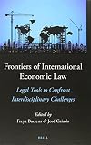 Frontiers of international economic law : legal tools to confront interdisciplinary challenges