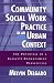 Community Social Work Practice in an Urban Context: The Potential of a Capacity-Enhancement Perspective