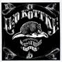 6 & 12 String Guitar