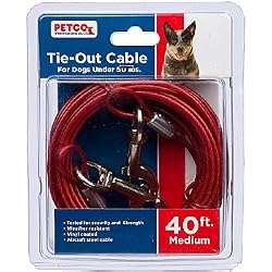 PETCO Dog Tie-Out Cable Medium