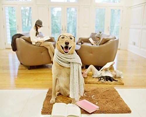 Petfiniti Dirty Dog Doormat Medium Runner Keeps House Clean - Tough, Durable and Absorbent Mat Quick Drying Microfiber Chenille Pet Mat for A Mud Free Floor - Dark Brown (Chestnut), large 26x36