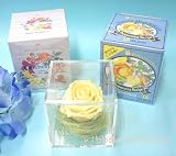 ���蕨�E�M�t�g�Ɂ�N���ABOX�v���U�[�u�h�t�����[�A�����W�Ƃ��������n�[�u�e�B�[�E�O�����Z�b�gFL-PF-928