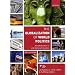 The Globalization of World Politics: An Introduction to International Relations
