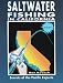 Saltwater Fishing in California: Secrets of the Pacific Experts