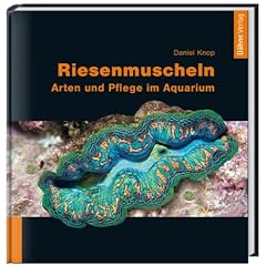 Riesenmuscheln: Arten und Pflege im Aquarium