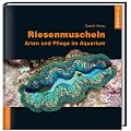 Riesenmuscheln: Arten und Pflege im Aquarium