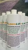 51QjDbvem2L. SL160  Super concentrated Grass Paint 1 Quart = 3.5 gallons of product. Reviews