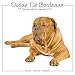 Dogue de Bordeaux 2011 Wall Calendar #30460-11