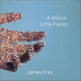 A Million Little Pieces