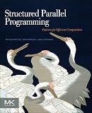 Structured Parallel Programming: Patterns for Efficient Computation