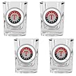 Texas Rangers MLB 4pc Square Shot Glass Set by Great American Products