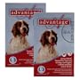 12 MONTH Advantage Flea Control Red: For Dogs 21-55lbs.