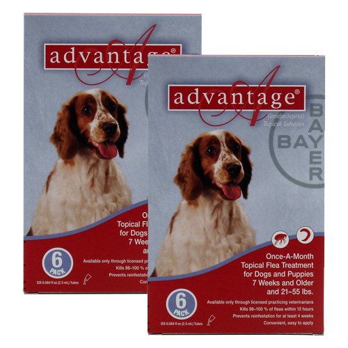 12 MONTH Advantage Flea Control Red: For Dogs 21-55lbs.
