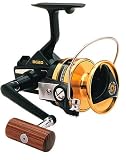 Daiwa Saltwater Spinning Reel, Black Gold Series 10