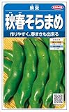 【種子】ソラマメ 秋春そらまめ 30ml
