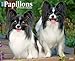 Just Papillons 2015 Wall Calendar