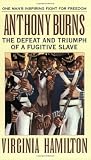 Anthony Burns: The Defeat and Triumph of a Fugitive Slave (Laurel-leaf books)