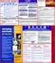 Federal Poster in English