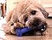 Hugs Pet Products Arctic Freeze Fetch Chew Toy