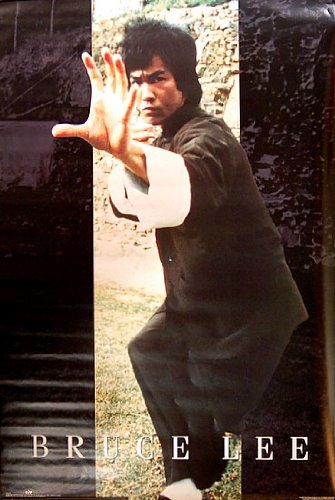 Bruce Lee Master of Martial Arts 24x36 Poster