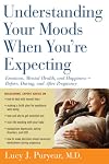 Understanding Your Moods When You're Expecting: Emotions, Mental Health, and Happiness -- Before, During, and AfterPregnancy
