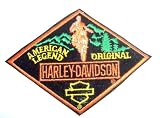 Harley Davidson~ Harley Davidson Patch~ Rare Patch!!~ Approx 6 x 4.5