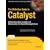 The Definitive Guide to Catalyst: Writing Extendable, Scalable and Maintainable Perl-Based Web Applications (Expert's Voice in Web Development)