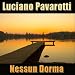 Nessun Dorma (Turandot)