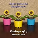Solar Powered Dancing Sunflower - Package of Three (3) Flowers