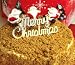 �ϥ�ץƥ�������ץƥ� ���ꥹ�ޥ������������������������Υ��ե��󥱡���