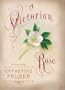 A Victorian Rose (English Ivy, Book 4)