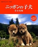 2008年卓上カレンダー 岩合光昭 ニッポンの子犬
