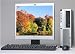 Fast HP DC7100 Desktop Computer Pentium 4 HT 3.0Ghz 1GB/160GB/DVD-Rom/Monitor LCD 19'' Keyboard/Mouse/Recovery CD included