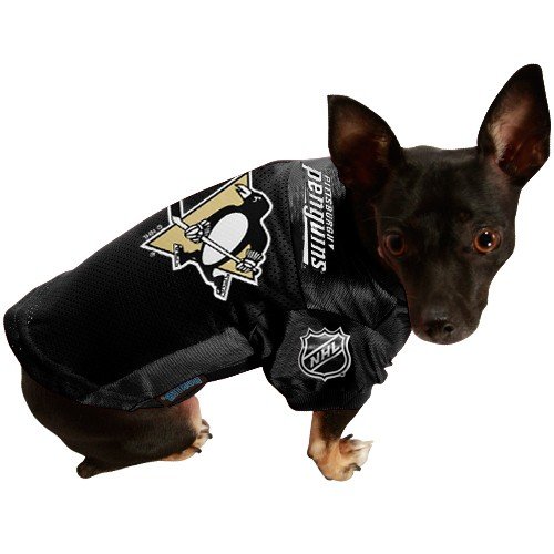 Pittsburgh Penguins Black Mesh Pet Jersey (Large)