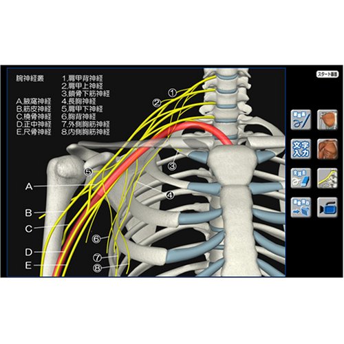 Cover image : CGで見る筋肉図典 筋ナビ1.0 資格試験対策用クイズ付