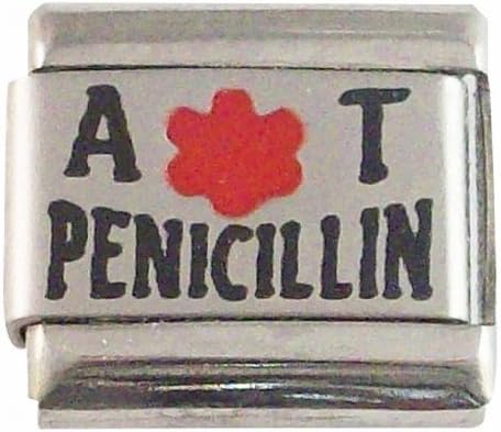 Allergic to Penicillin Medical ID Alert Italian Charm Allergy Fashion Jewelry