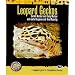 Leopard Geckos: A Complete Guide to Eublepharine Geckos